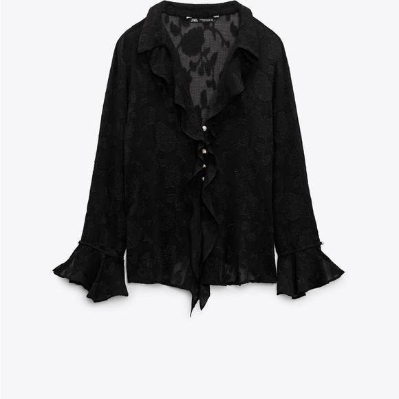 Zara sheer Button up - Picture 1 of 5